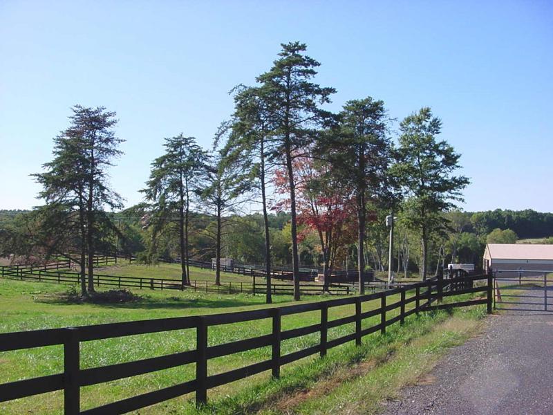 Anthony's Land Grant