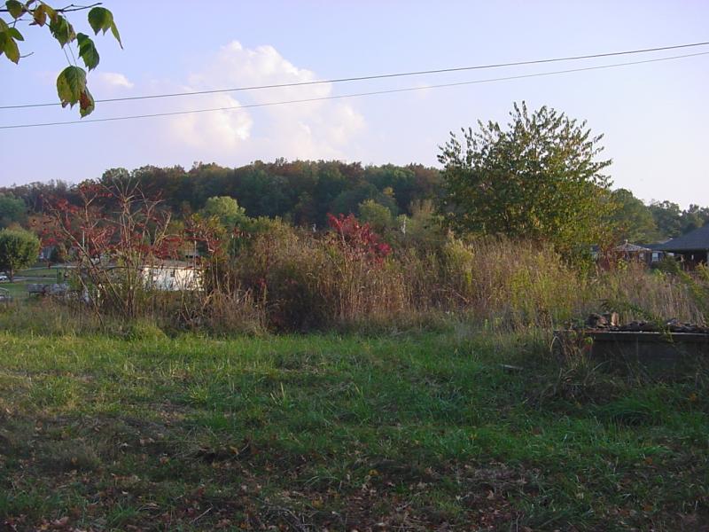 Anthony's Homesite today