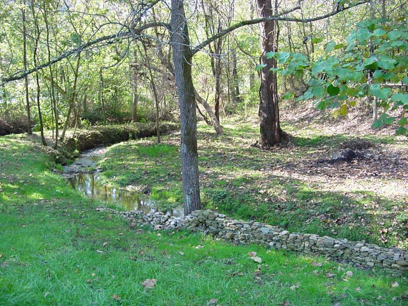 Creek